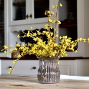 Flower pot in soft brown with forsythia blossoms