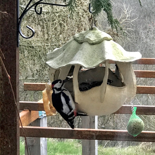 Ceramic bird feeder with woodpecker